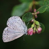 Claire Stock's photo