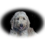 Annette Nazionale's photo