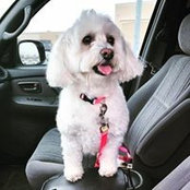 William LaRoque's photo