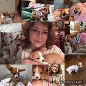 Buffy Boyd's photo