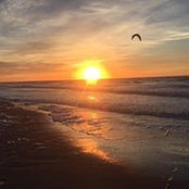Lori Hummel's photo