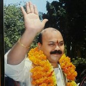 D Mayors billede