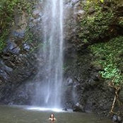 Shannon Freer's photo