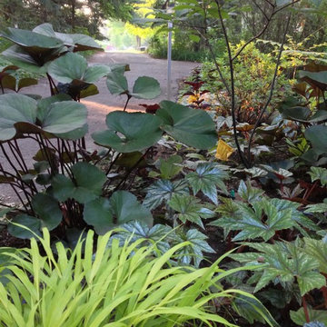 Residential Photos