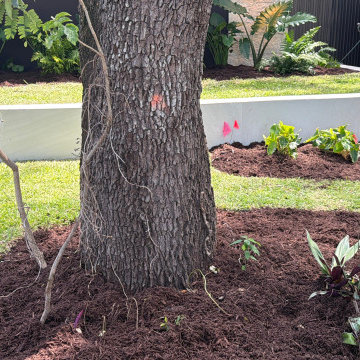 Modern Landscaping and Artificial Turf Design in Miami, FL