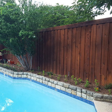 Front Yard Clean-up + Sunny Backyard Design