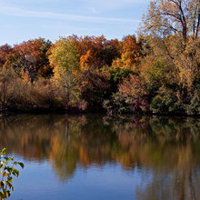 Fall Scenery