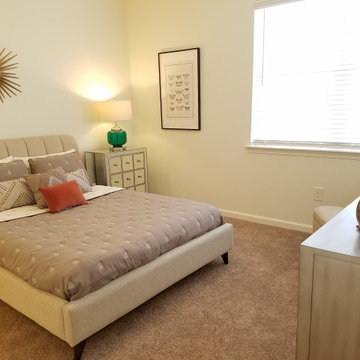 Plymouthtowne Apartment Models