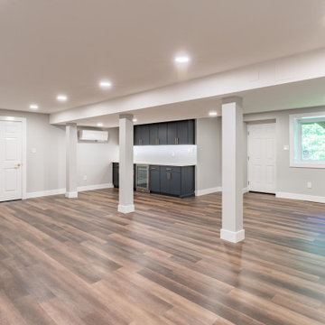 Doylestown Basement