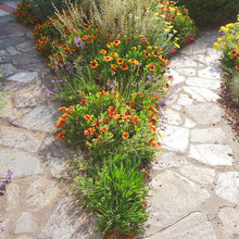 Landscape Ideas
