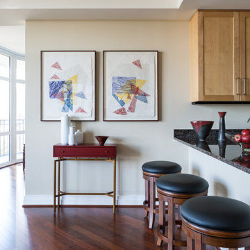 Contemporary Renovation