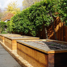 Vegetable Gardens
