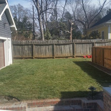 driveable grass