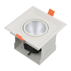 LED down light - Ceiling Lighting