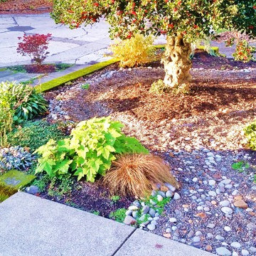 Woodstock Rain Garden Landscape Makeover