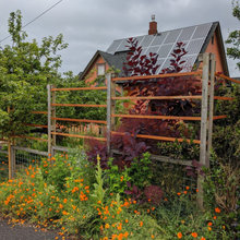 bellingham gardens