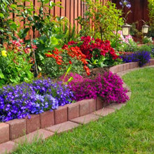 Yard Ideas