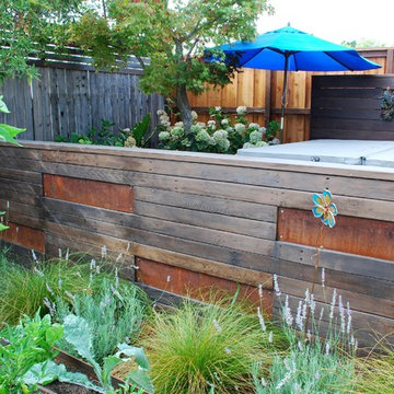 Contemporary backyard oasis