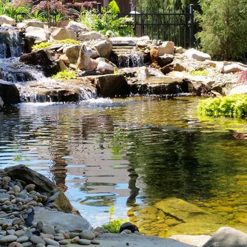 Koi Pond with Waterfalls and Patio / Walkway in Blythewood SC