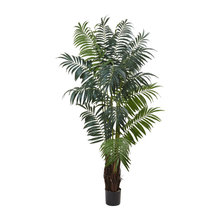 Palm