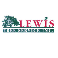 LEWIS TREE SERVICE INC
