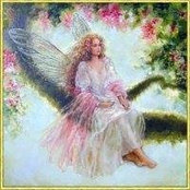 Robin Cercone's photo
