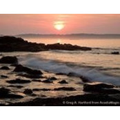 Gale Smith's photo