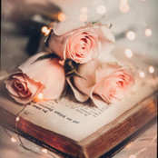 Амина Ворокова's photo