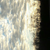 Elise Mackey's photo