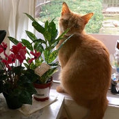 Photo de kvetchlambkin (nyc 7b)
