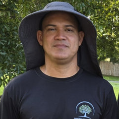 D&Y Tree Services Tampa