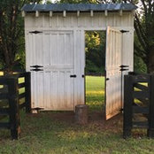Tisha Tryens's photo