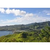 Foto von Fidel Taylor
