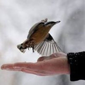 Agnes Cervantes Hardy's photo