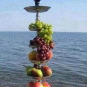 Mo Algharam's photo