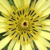 Cindy Kotar's photo
