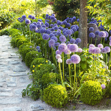 Garden Design 7