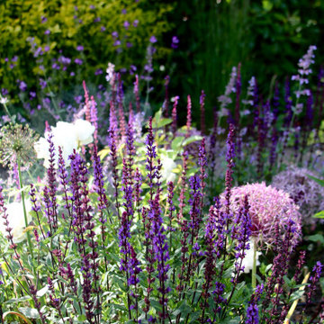 Tranquil plant lovers garden