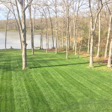 Lawns