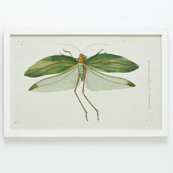 A Great Leap Forward Wall Art - Bay Locust - Artwork