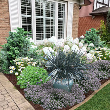 Foundation Plantings