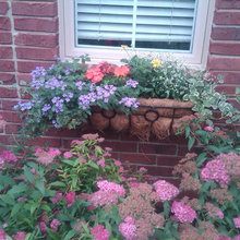 bethany_demassimo's Ideas