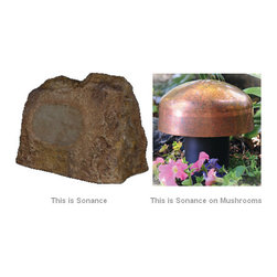 Dealer Products by DeVance - Products