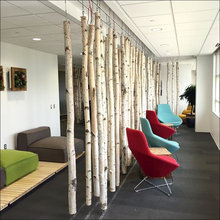 office