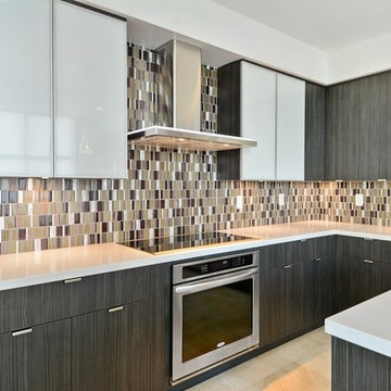 Contemporary Condo Kitchen