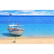 ΕΛΕΝΗ ΓΙΑΝΝΟΠΟΥΛΟΥ's photo