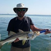 Tim Miller's photo