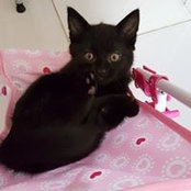 Vilma Palmier's photo