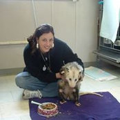 Lisa Hamilton-Masi's photo