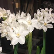Sandy Hill's photo